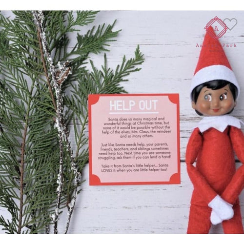 Elf on The Shelf Advice Cards - Novelty
